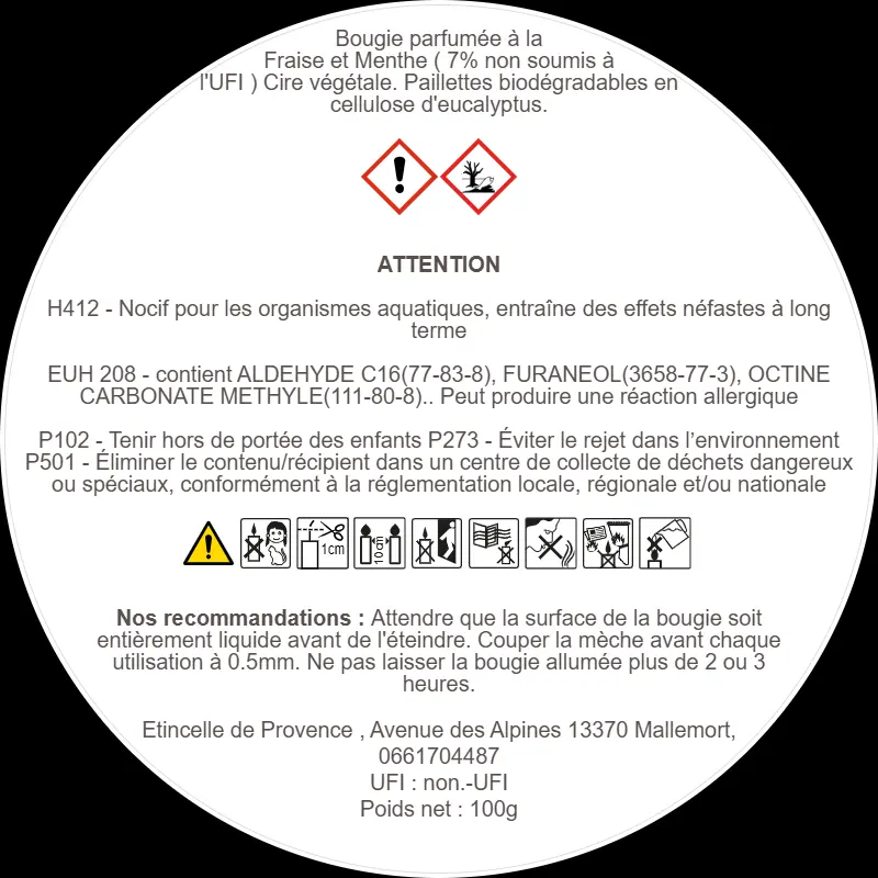 bougie-parfumee-a-la-fraise-et-menthe-7percent-non-soumis-a-lufi-cire-vegetale-paillettes-biodegradables-en-cellulose-deucalyptus.webp