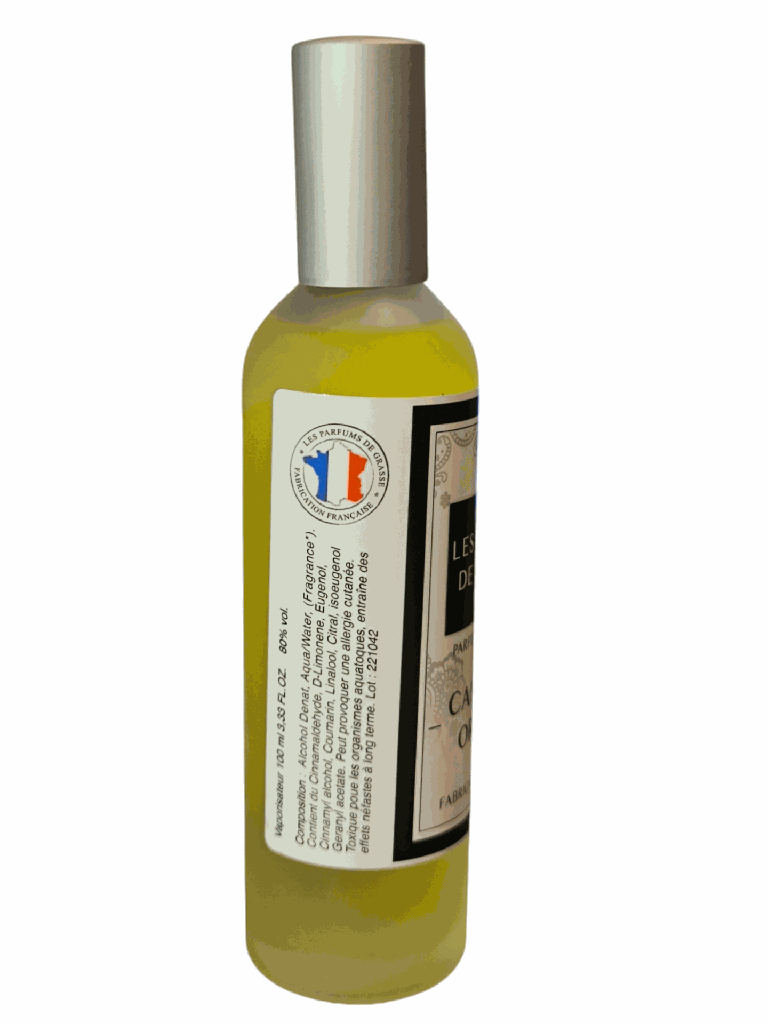 Sécurité spray d'ambiance orange cannelle.png
