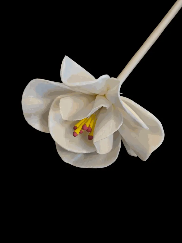 Fleur allongé.webp