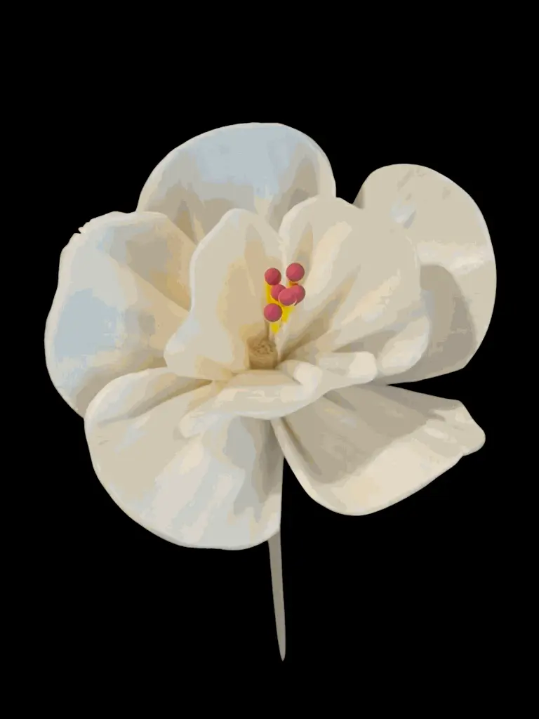 fleur vu de haut.webp