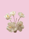 Vase tube rose vu de haut.png