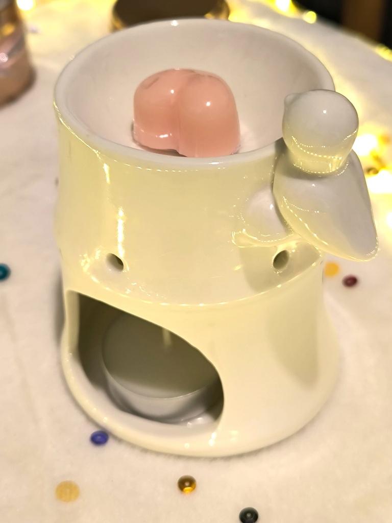 Brûle Parfum en Céramique Laquée Blanche Bambou – Diffuse les Fondants, Cires Parfumées et Huiles Essentielles, vu de dessus..jpg