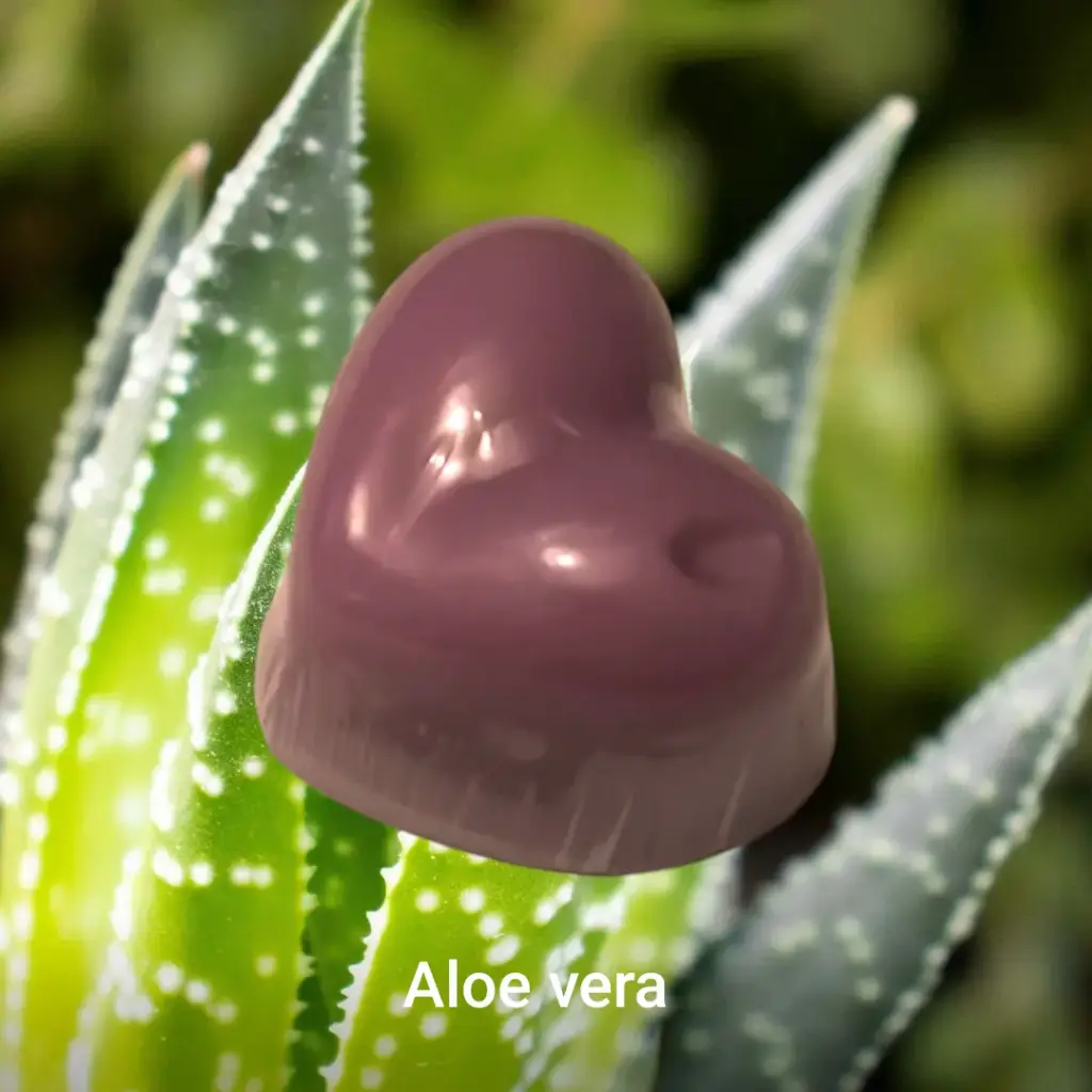 Fondant Aloé Vera