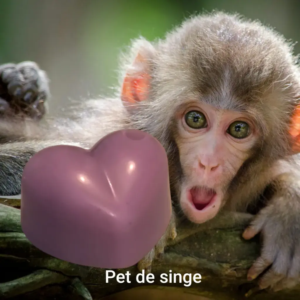 Fondant Pet de singe