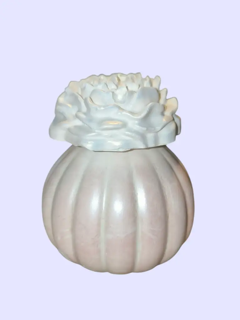 Diffuseur par Capillarité pour Parfums d'Ambiance - Diffuseur citrouille rose pâle avec fleur en plâtre et 5 BATONNETS (fabrication artisanale) pièce unique. Pensez à lire les recommandations d'utilisation. 