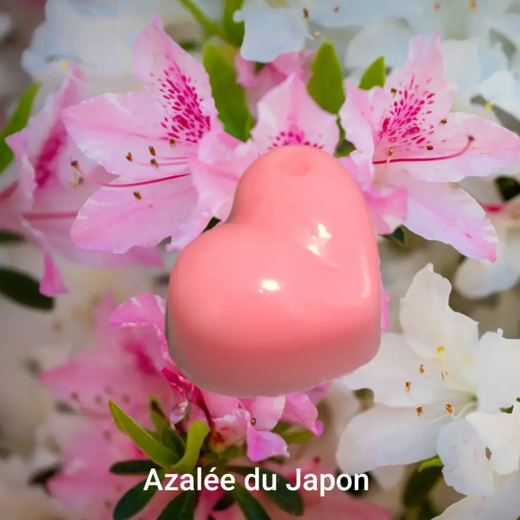 Fondant Azalée du Japon