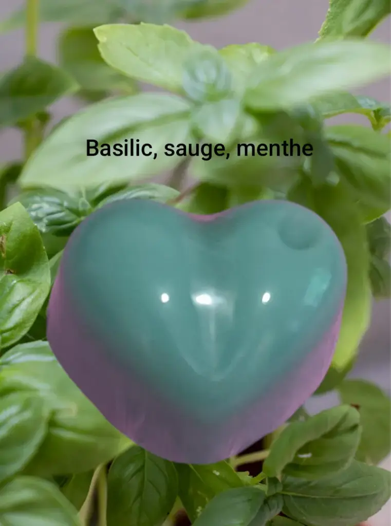 Fondant Sauge/basilic/menthe