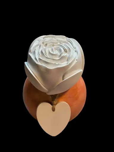 Diffuseur par Capillarité pour Parfums d'Ambiance - Diffuseur Boule marron et cœur avec fleur en plâtre et 5 BATONNETS (fabrication artisanale) pièce unique. Pensez à lire les recommandations d'utilisation. 